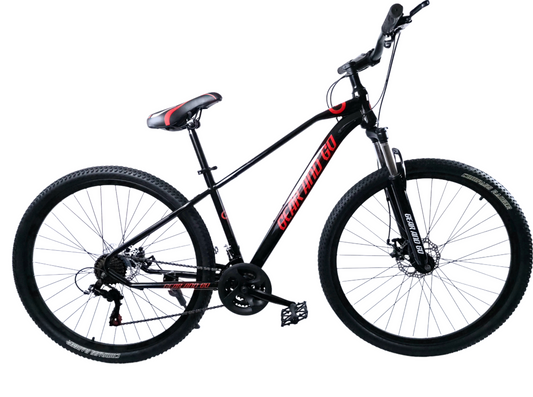 Mountain Bike 29"